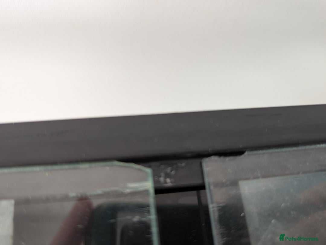 Other/Mixed Breed fish for sale: Fish Tank with Stand and Fluval 207 filter - Image 7