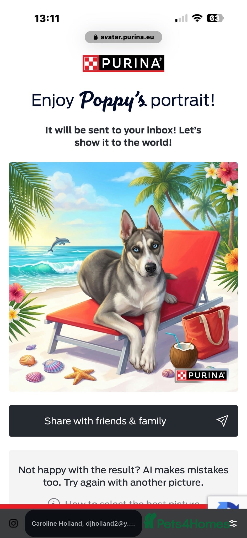 Siberian Husky dogs Poppy - Advert 1