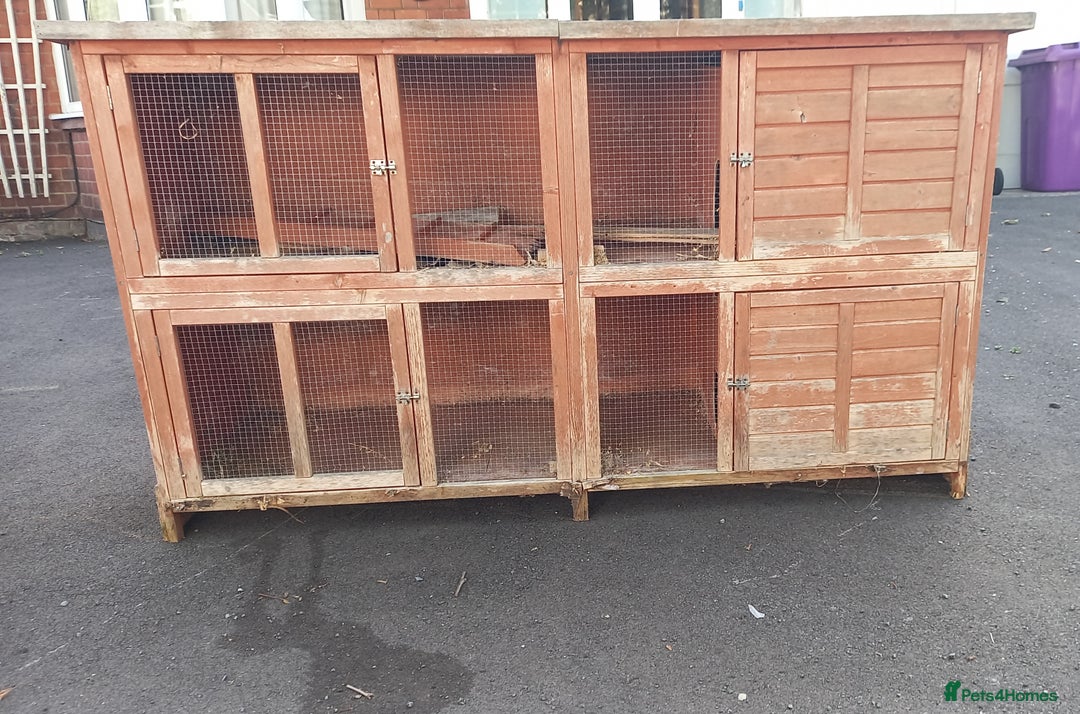 Guinea Pig rodents for sale: Free – 2 x 6ft Double Hutches (Wolverhampton) - Image 4
