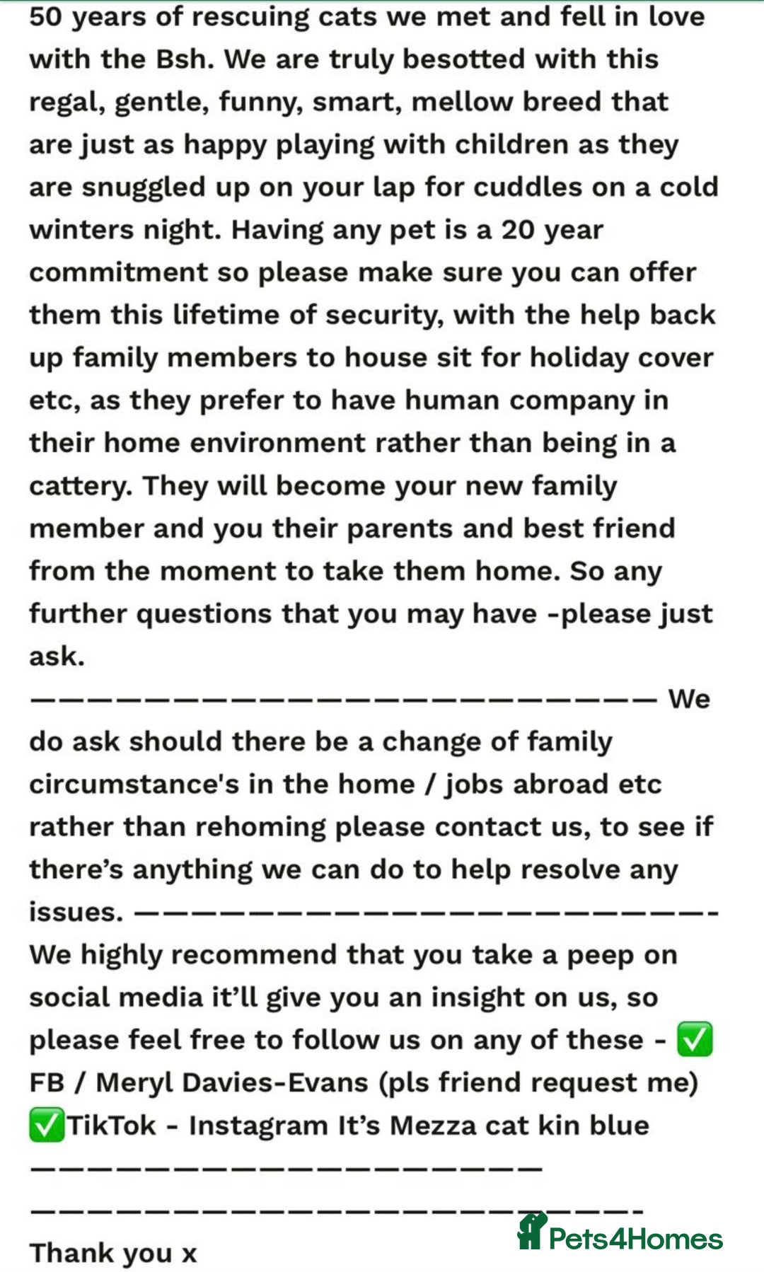 British Shorthair cats for sale: GCCF reg. BSH male and Blue cream girl  - Image 10