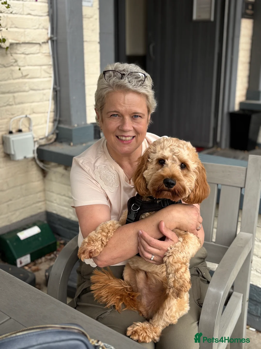 Gallery Image {{count}}