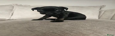Matilda