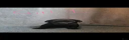 Patterdale Terrier dogs for sale: ❤️🐕Beautiful Patterdale puppies for sale🐕❤️ - Advert 7