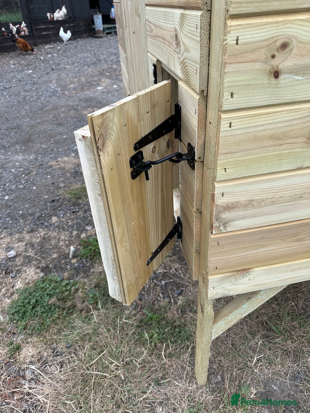 Chickens poultry for sale: Chicken Coops - excellent quality - British Made - Image 4