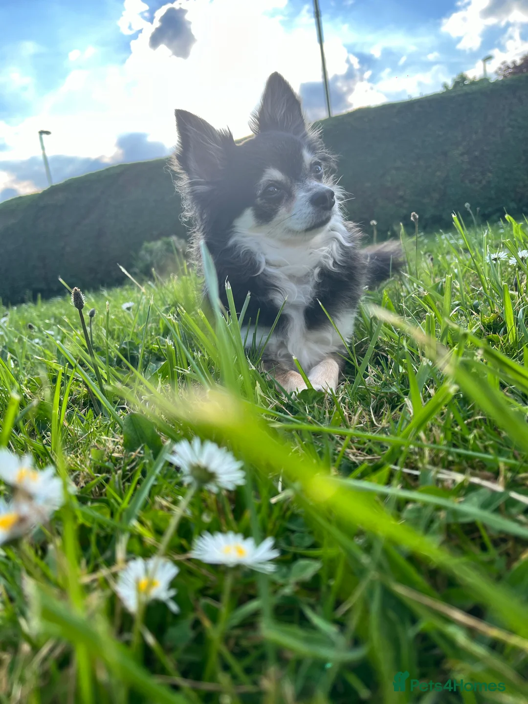 Gallery Image {{count}}