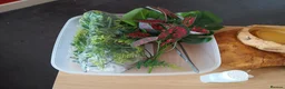 Mixed Breed reptiles for sale: Snake tank vivarium 3ft in Rainham - Advert 2