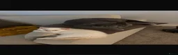 British Shorthair cats for sale: Two British short hairs. - Advert 3