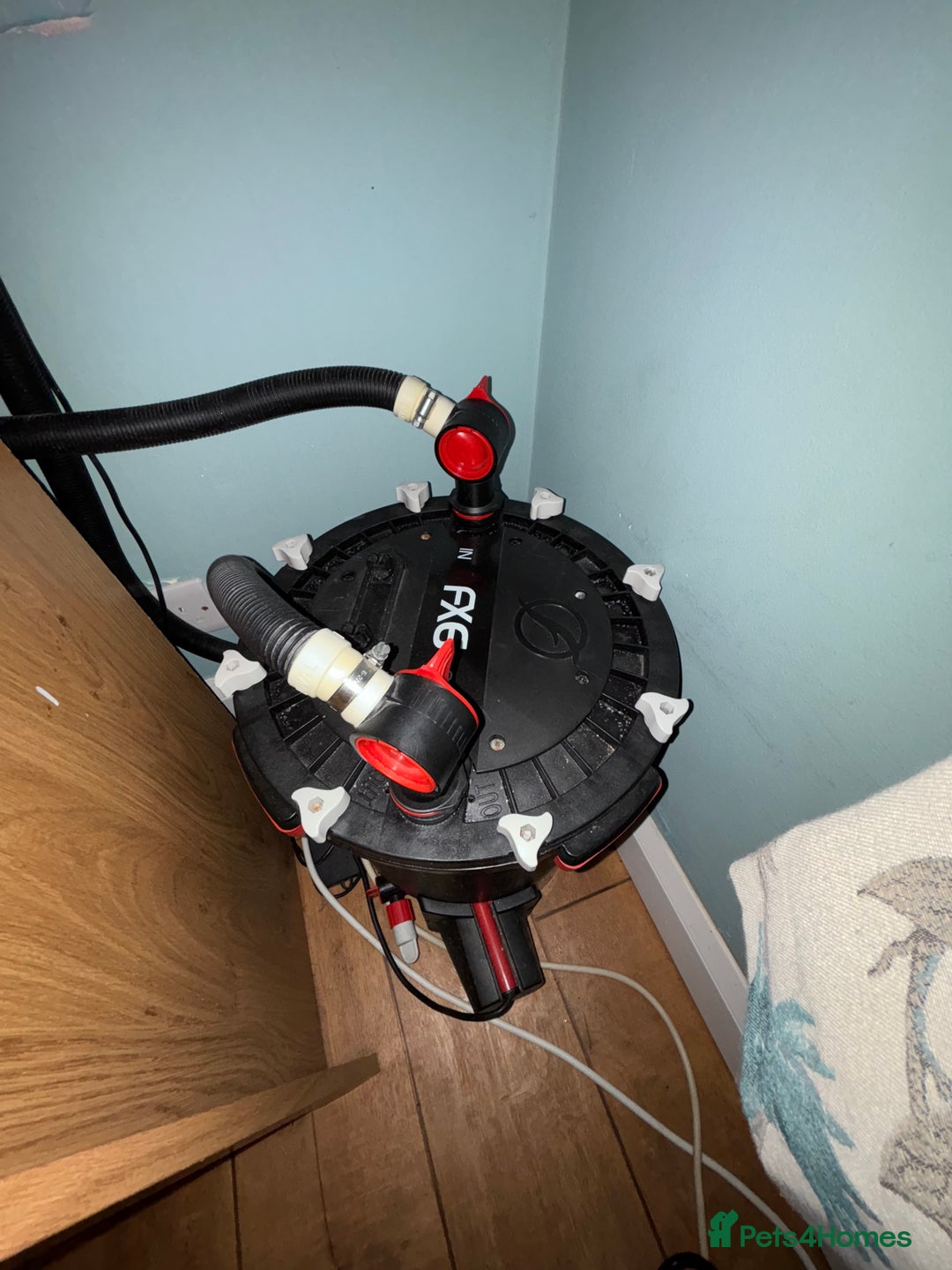 Other/Mixed Breed fish for sale: Marine Tank and Full Set Up  - Image 9