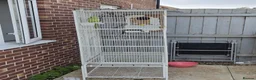 Ringnecks birds for sale: Large cage /Flight Cage + Young Female Ringnec in Dudley - Advert 1