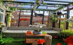 Mixed Breed cats for sale: Two indoor females seeking loving home together  - Image 4