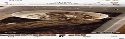 Corn Snake reptiles for sale: Job lot different adult snakes from £45  - Advert 13