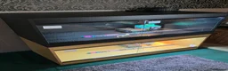 Bearded Dragon reptiles for sale: Bearded Dragon + New Vivarium Setup kit - Advert 6