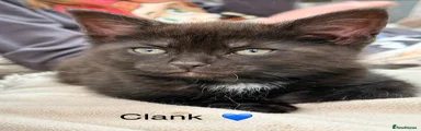 Clank