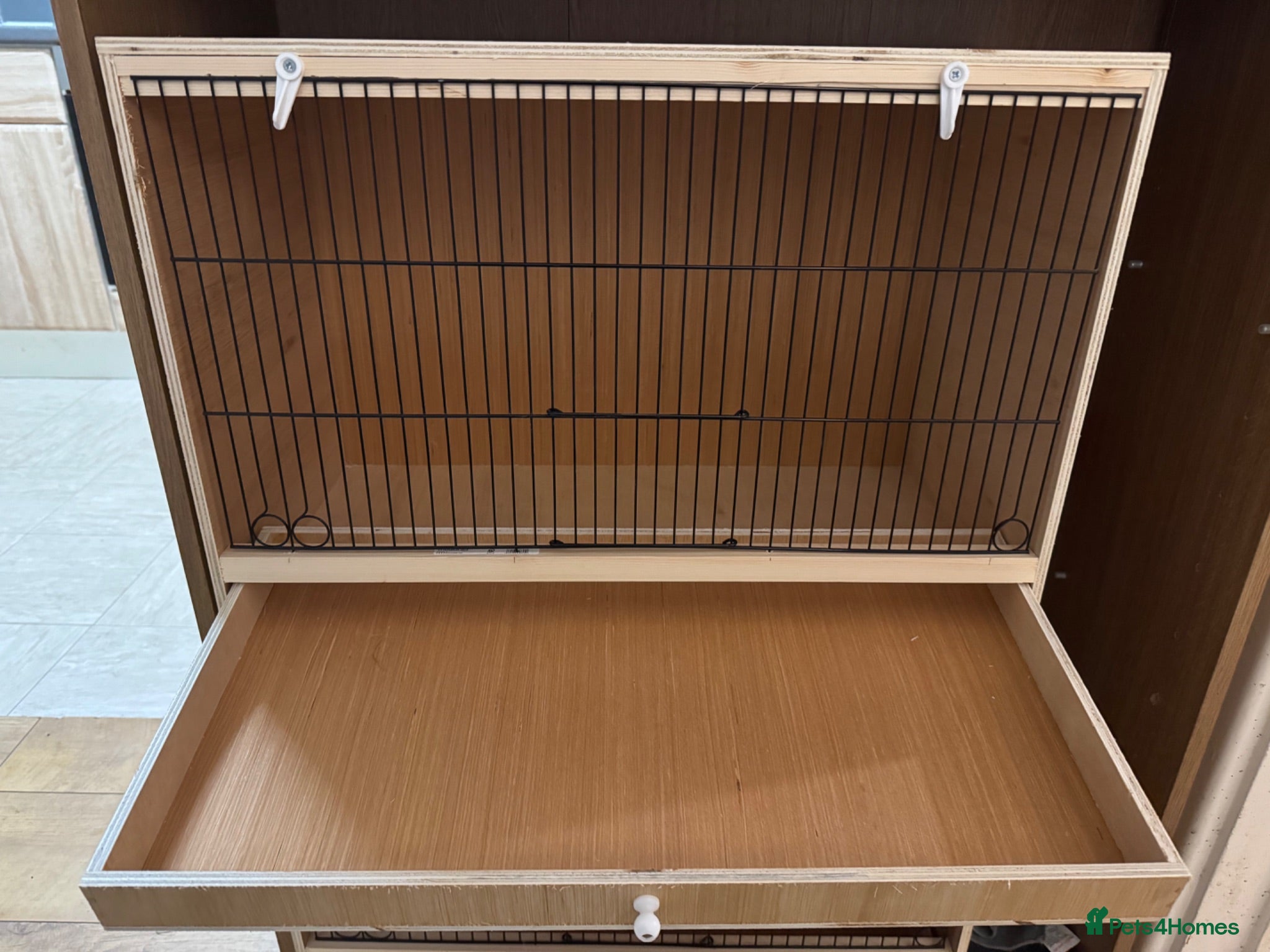 Budgerigars birds Budgies breeding cage - Advert 18