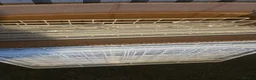Mini Lop rabbits for sale: Rabbits for sale with large hutch and accessories  - Advert 8