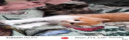 Mixed Breed cats for sale: Adorable White & Ginger Male Kitten for Sale in Nottingham - Advert 9