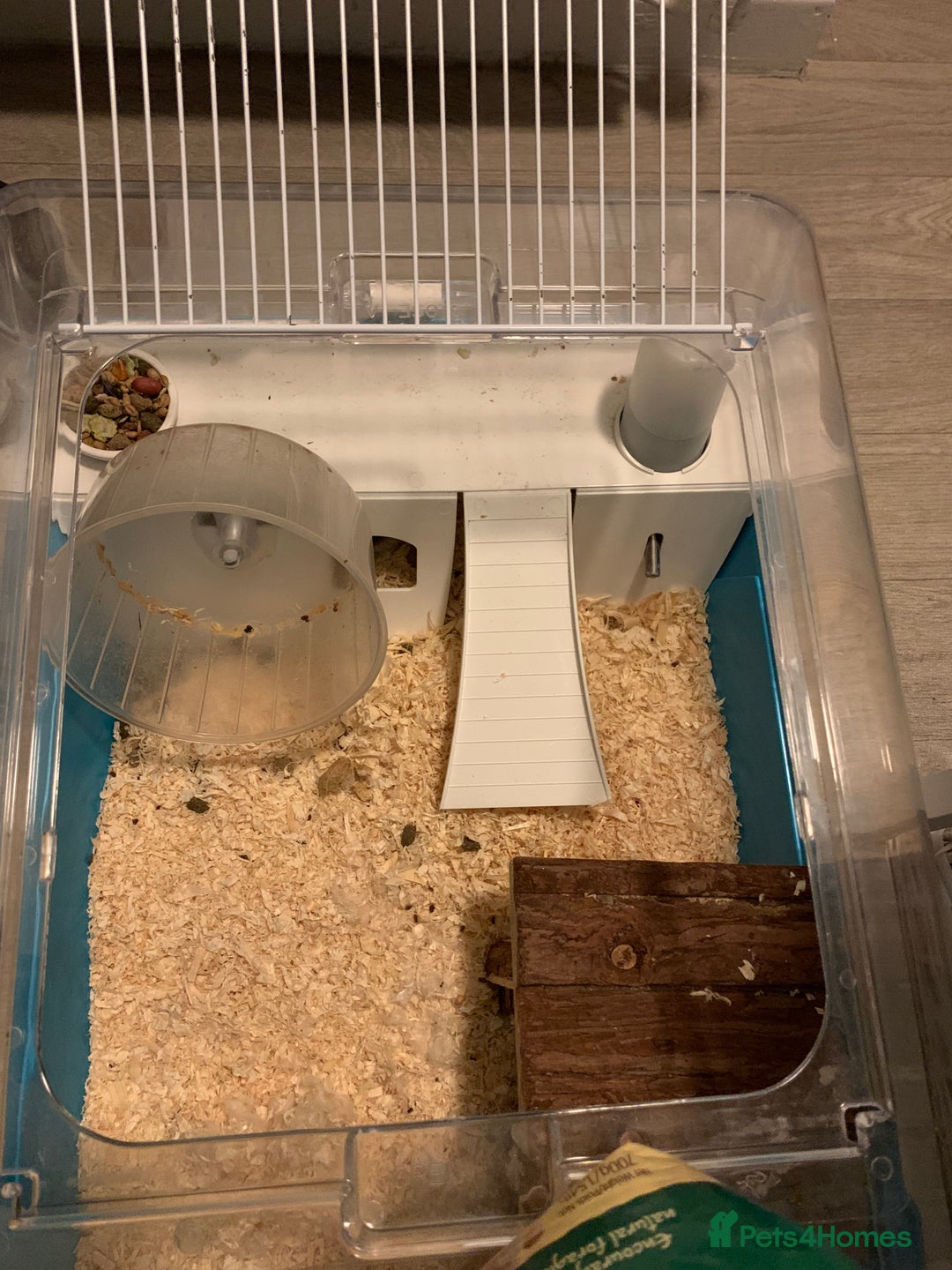 Hamster rodents for sale: Russian Dwarf Hamster with Cage & Accessories - Advert 11