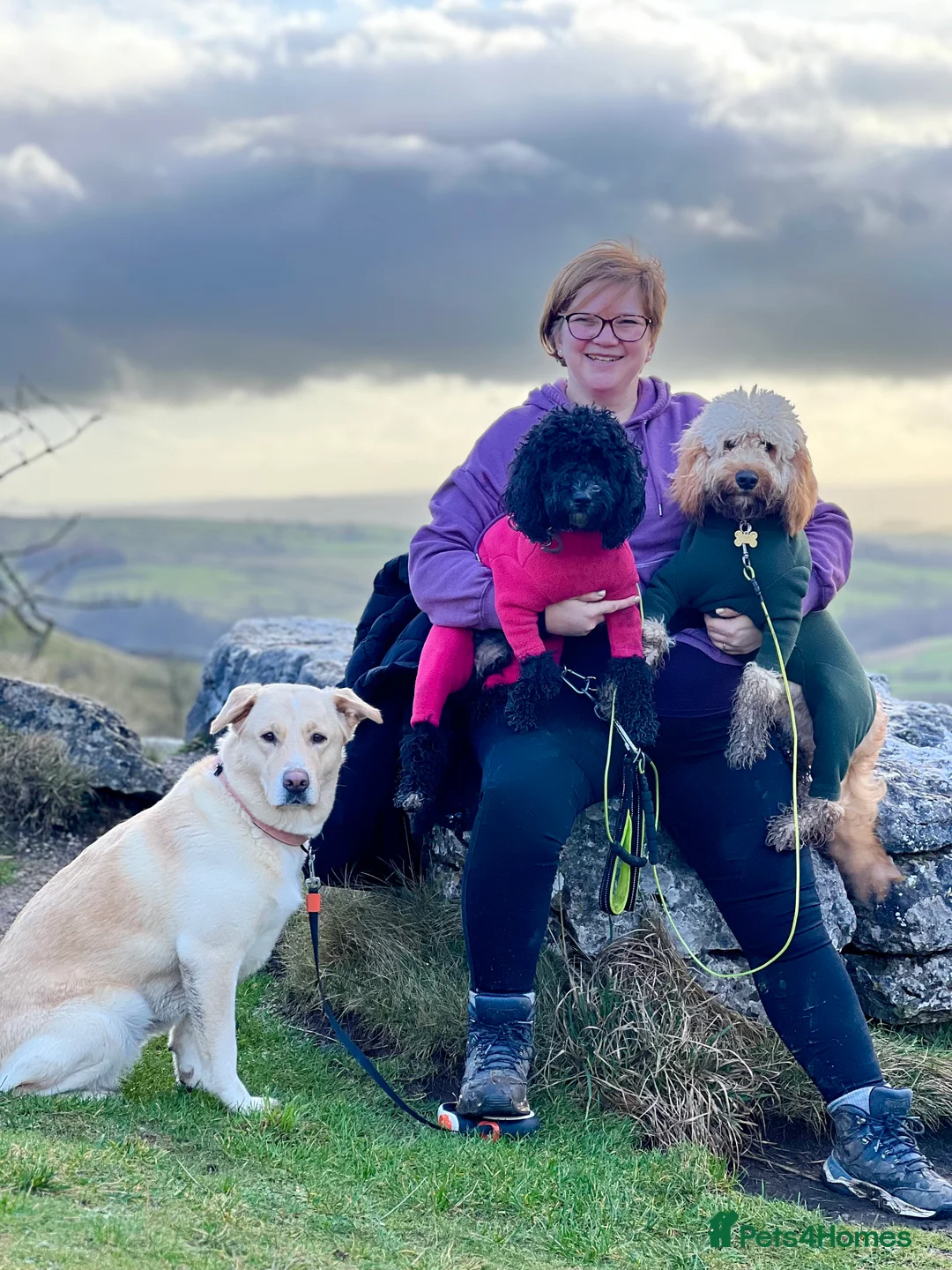 Gallery Image {{count}}