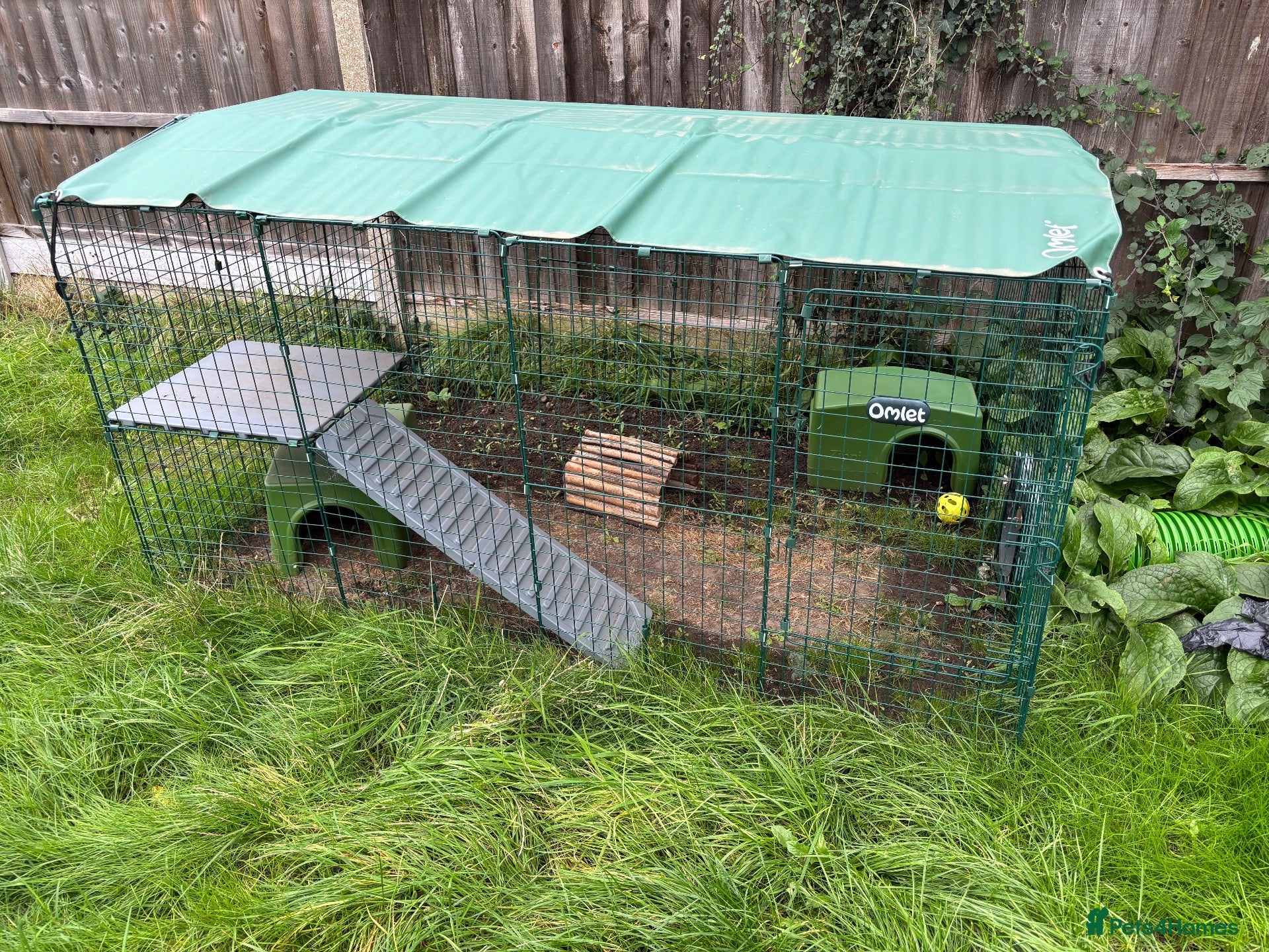 Mixed Breed rabbits Omlet run and accessories  - Advert 1