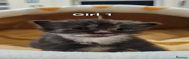 GIRL 1 