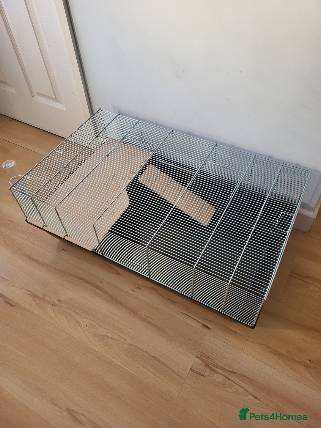 Hamster rodents for sale: Hampster cage  - Image 1