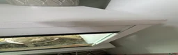 Bearded Dragon reptiles for sale: Bearded dragon with full set up  - Advert 14