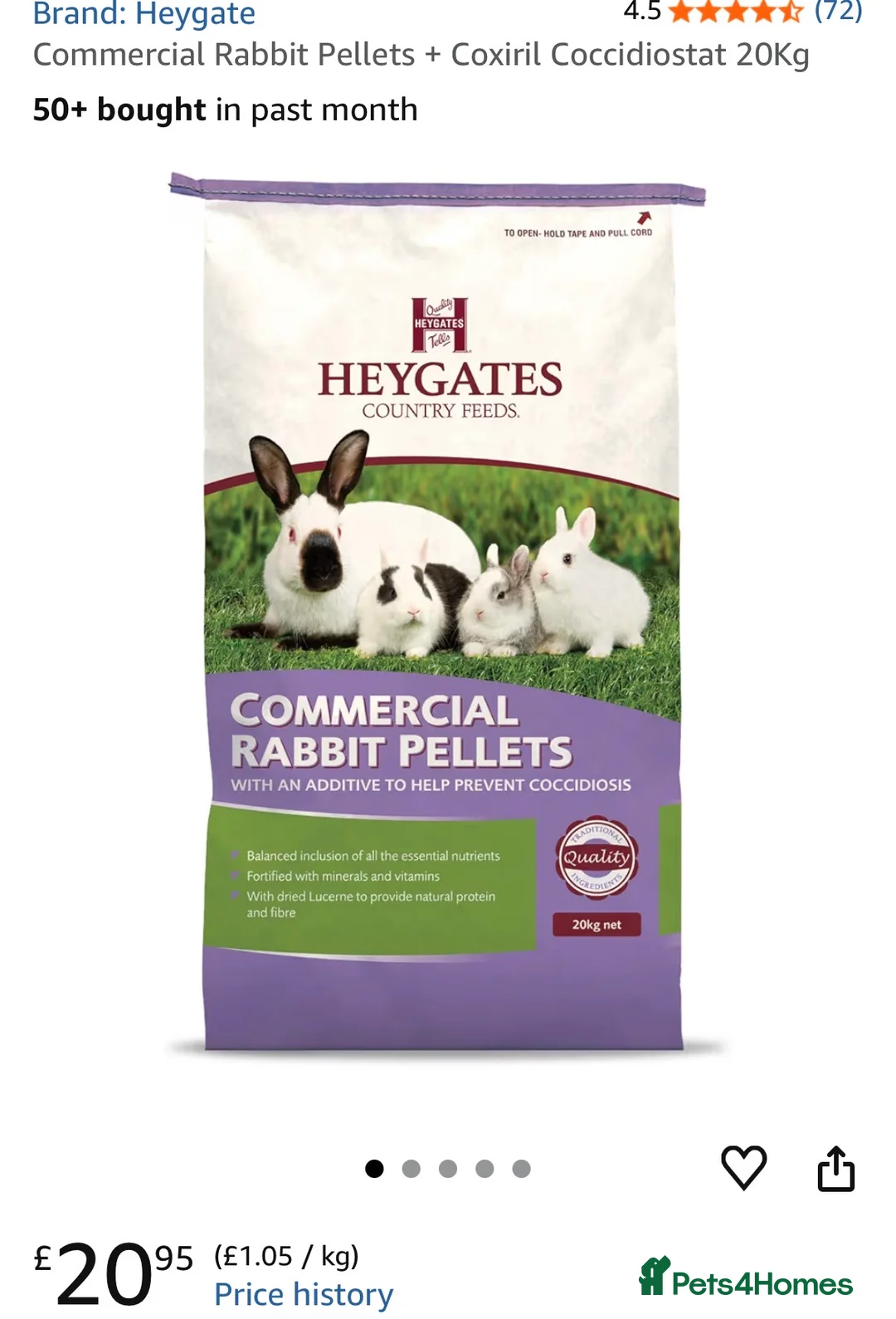 Lionhead rabbits for sale: Lion head rabbit and hutch - Advert 2