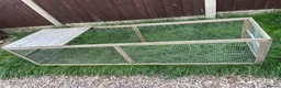 Guinea Pig rodents for sale: Two male guinea pigs need rehoming  in Heanor - Advert 10