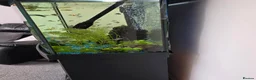 Other/Mixed Breed fish for sale: Fish tank and stand plus accessories  in Stoke-on-Trent - Advert 2