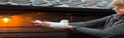 Pigeons birds for sale: White pigeons  - Advert 1