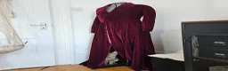 Mixed Breed cats for adoption: Ziggy! An absolute bundle of joy and quirckness - Advert 11