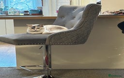 Ragdoll cats for sale: 3 beautiful GCCF Ragdoll Kittens  - Image 5