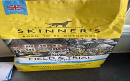 Cocker Spaniel dogs for sale: SHOW COCKERS READY NOW LAST LEMON BOY AND GIRL - Image 20
