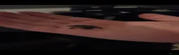 Other/Mixed Breed fish for sale: African dwarf frogs x 5 - Advert 2