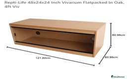 Corn Snake reptiles for sale: Cornsnake - Image 4