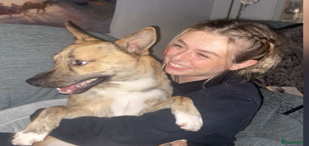 Gallery Image {{count}}