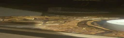 Python Snake reptiles for sale: Jim- Mojave/normal Male - Advert 2