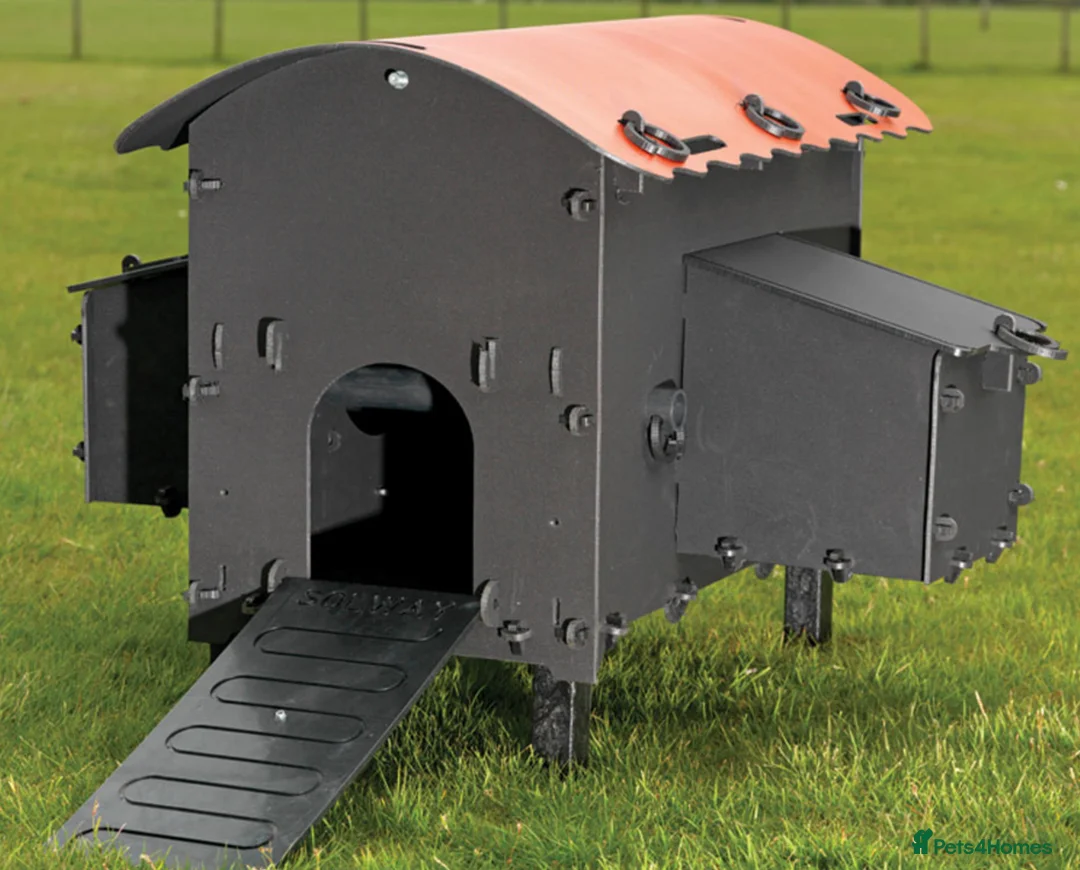 Chickens poultry for sale: Recycled Coop Run only  NO maintenance - Advert 3