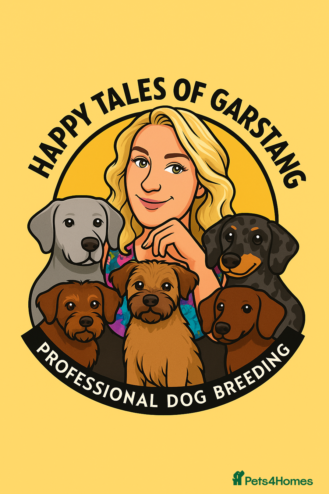 Miniature Dachshund dogs for sale: RARE KC 2 Isabella+tan boys, 1 chocolate and tan  - Advert 13