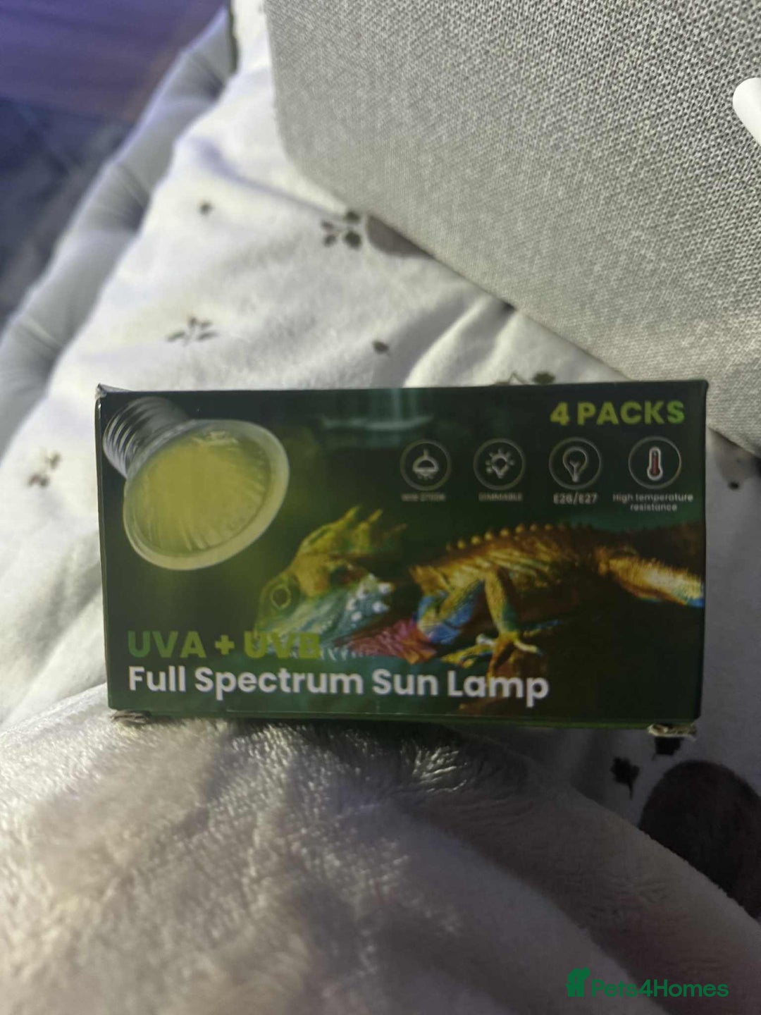 Gecko reptiles for sale: Leapord gecko for sale!! - Advert 16