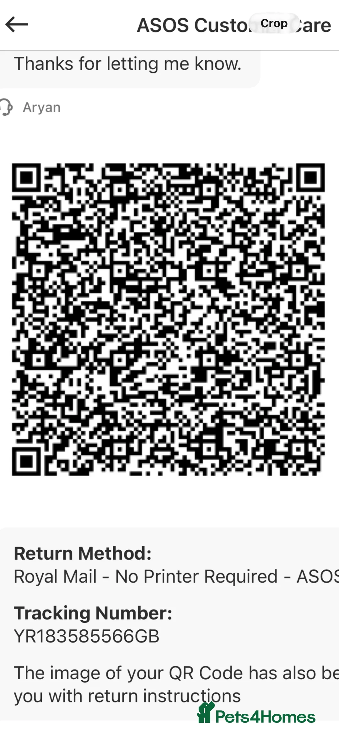 Mixed Breed cats for sale: Tommy (9 months old)  - Advert 2