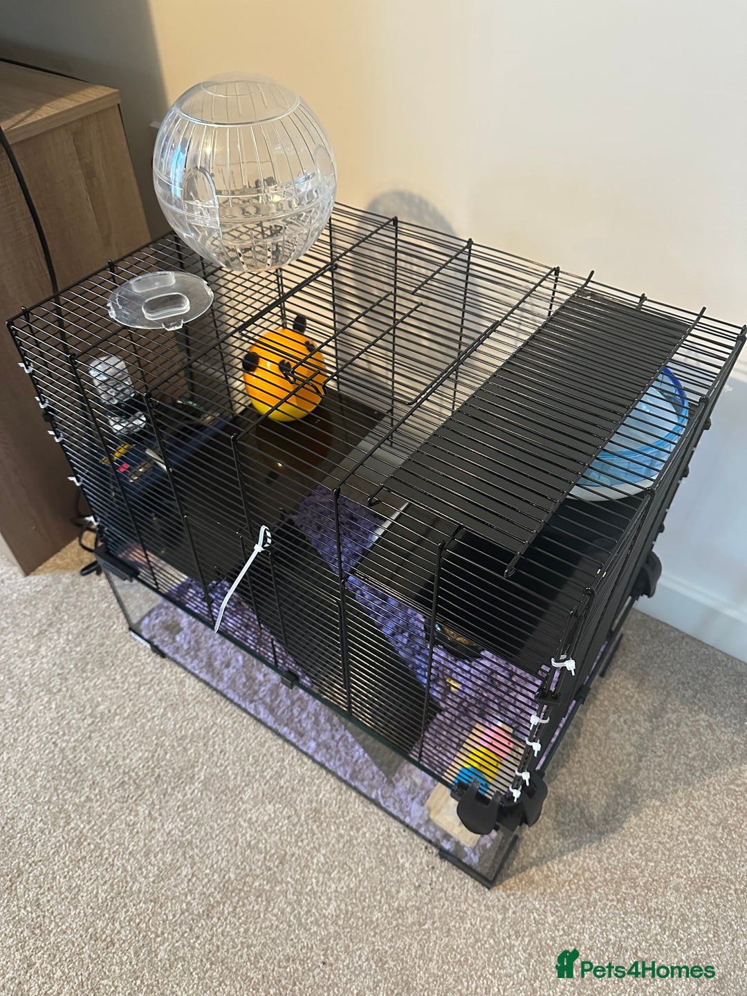 Hamster rodents for sale: Hamster Cage For Sale  - Image 1