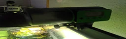 Turtle reptiles for sale: Razor-backed & Common Musk Turtle With Full Setup. in Stafford - Advert 5