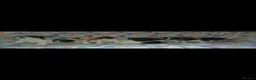 Jack Russell dogs for sale: Jack Russel puppies  - Advert 2