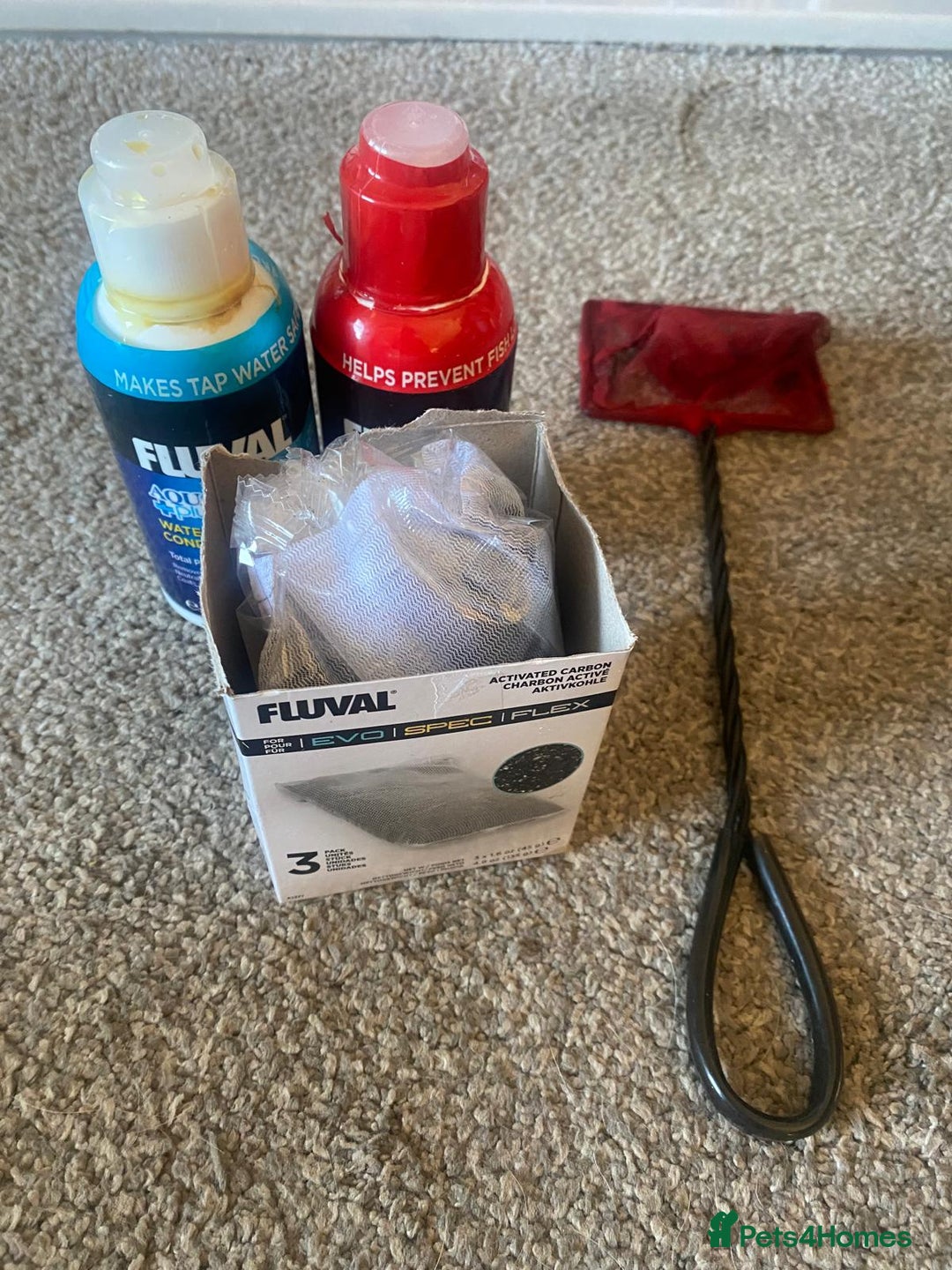 Shrimps fish for sale: Fluval fish tank set up with fish included  - Advert 9