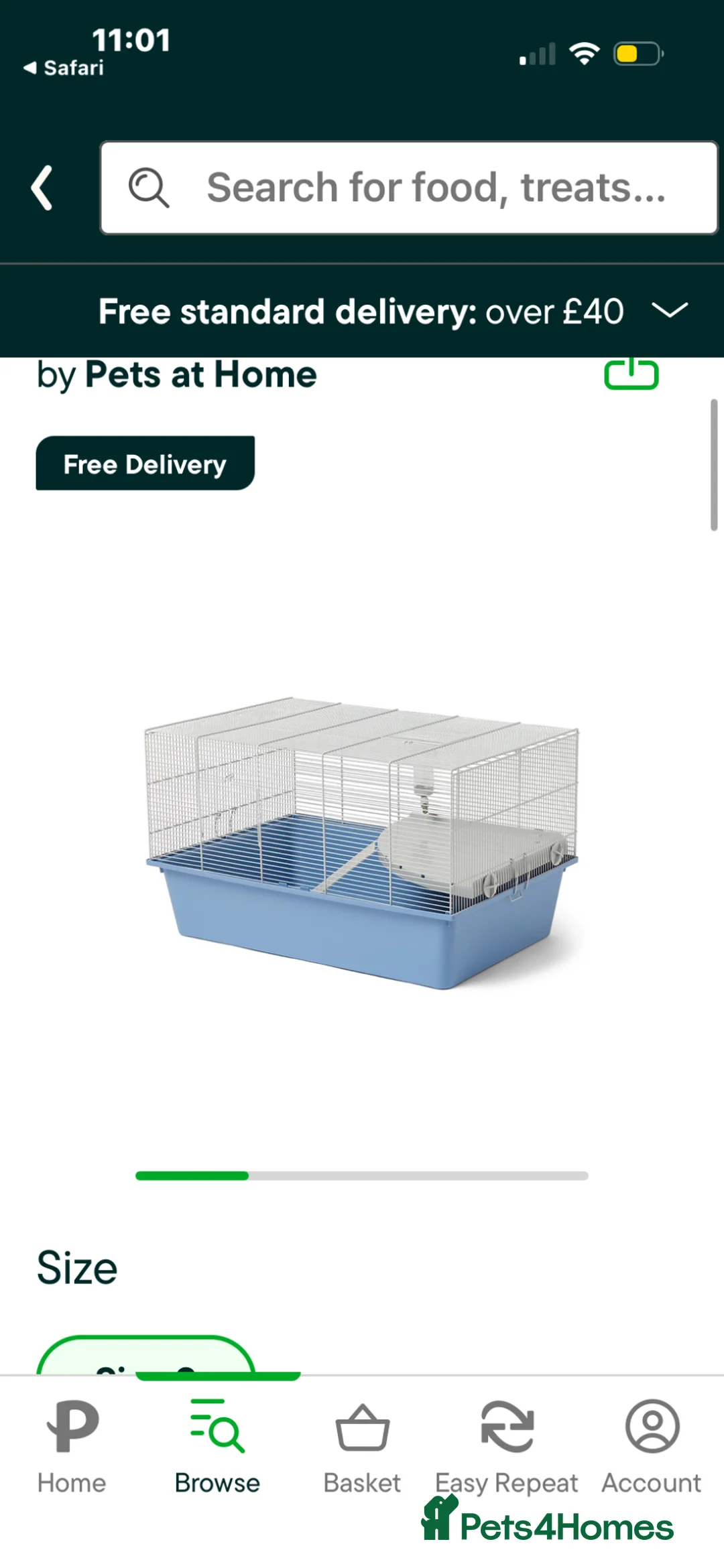 Gerbil rodents for sale: 2 male gerbils with full set up. - Advert 2