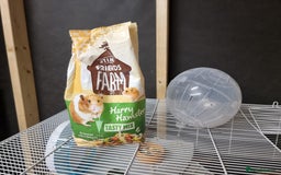 Hamster rodents for sale: Sweet young hamster with large cage&full set up - Image 10