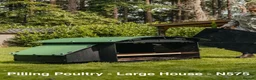 Chickens poultry for sale: Pilling Poultry - Large House - Poultry - Advert 8