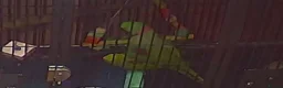 Parakeets birds for sale: proven pair Alexanderine gives olive chiks - Advert 11