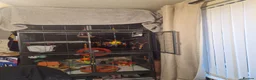 Sugar Glider rodents for sale: Bonded pair sugar gliders in Oldham - Advert 3